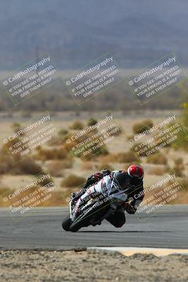 media/Apr-10-2022-SoCal Trackdays (Sun) [[f104b12566]]/Turn 5 Tree of Life (1040am)/